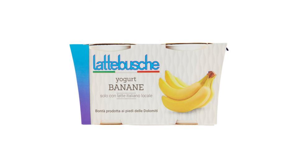 Lattebusche Yogurt alla banana