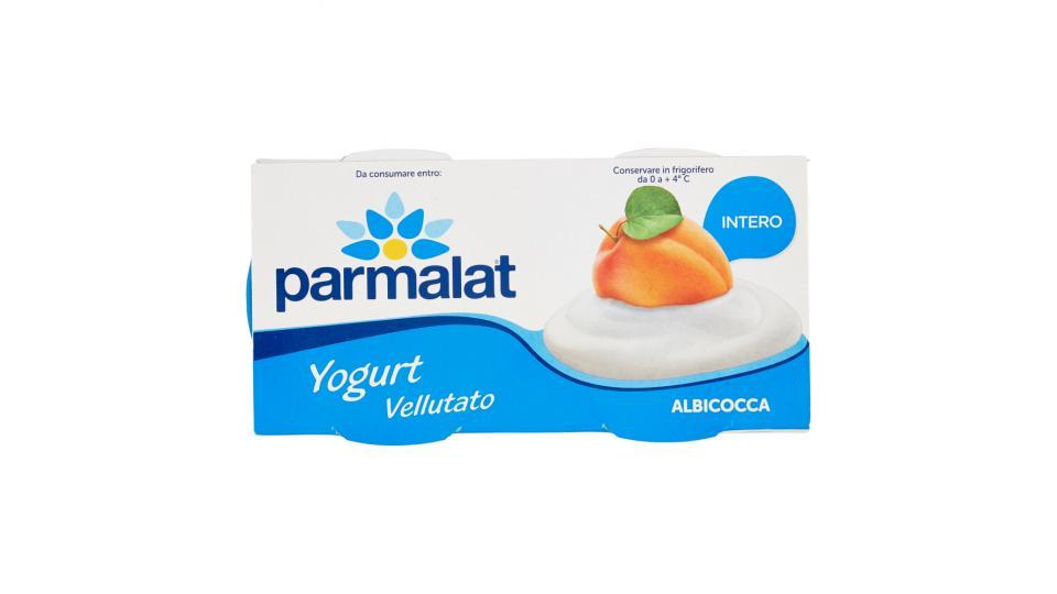 parmalat Yogurt Vellutato Albicocca