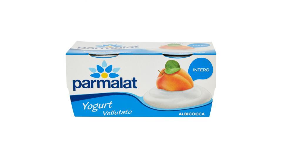 parmalat Yogurt Vellutato Albicocca