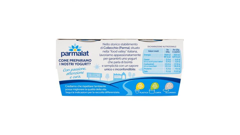 parmalat Yogurt Vellutato Albicocca