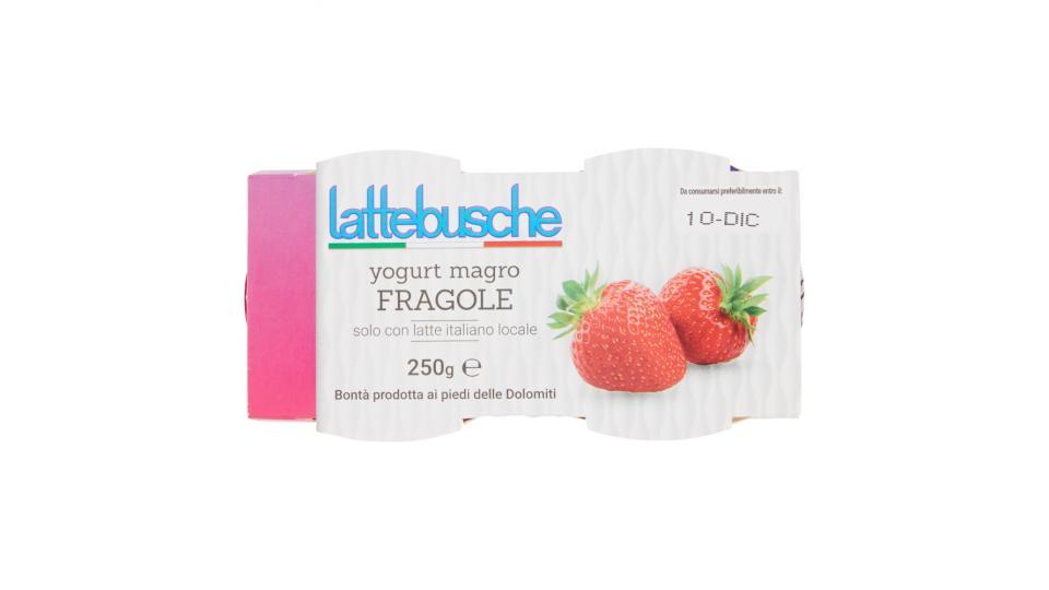 Lattebusche Yogurt magro alla fragola