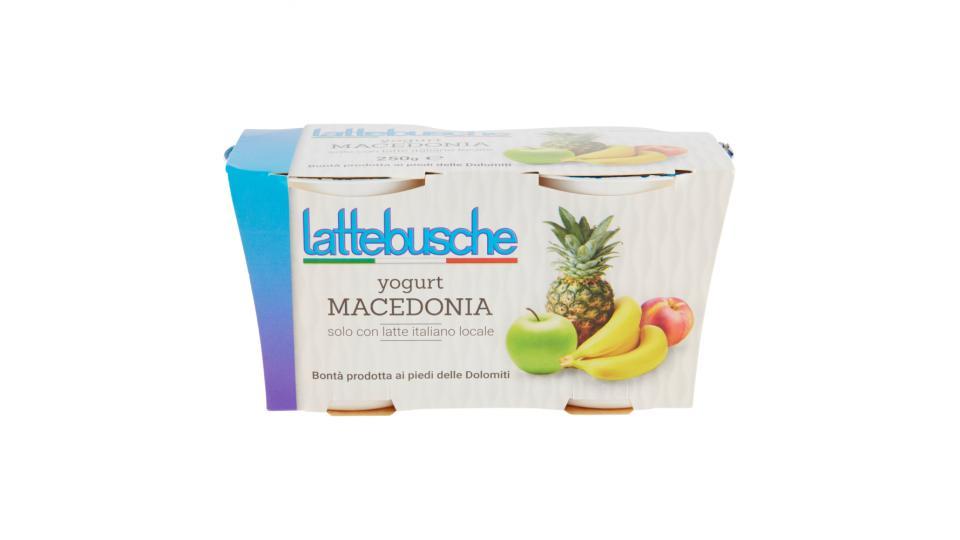 Lattebusche Yogurt alla macedonia