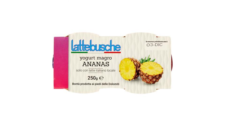 Lattebusche Yogurt magro all'ananas