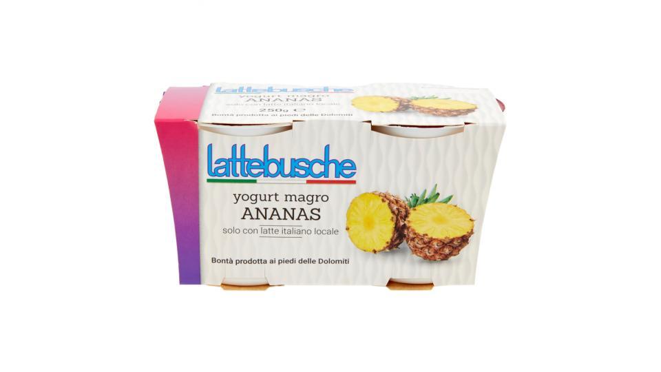 Lattebusche Yogurt magro all'ananas