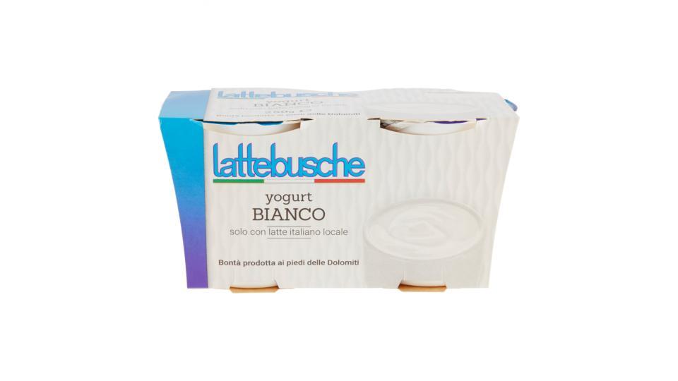 Lattebusche Yogurt bianco