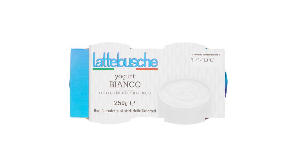 Lattebusche Yogurt bianco