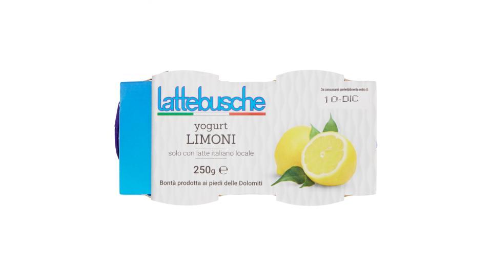 Lattebusche Yogurt al limone