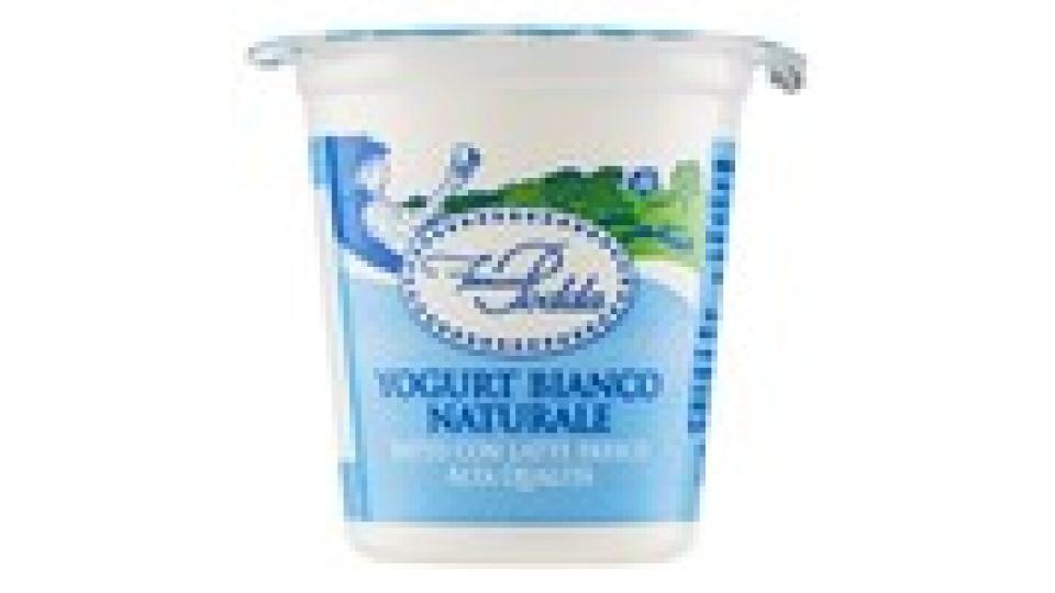 Ferruccio Podda Yogurt Bianco Naturale