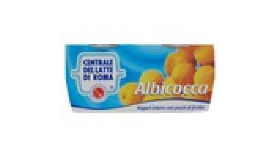 Centrale del latte di Roma Albicocca yogurt intero con pezzi di frutta