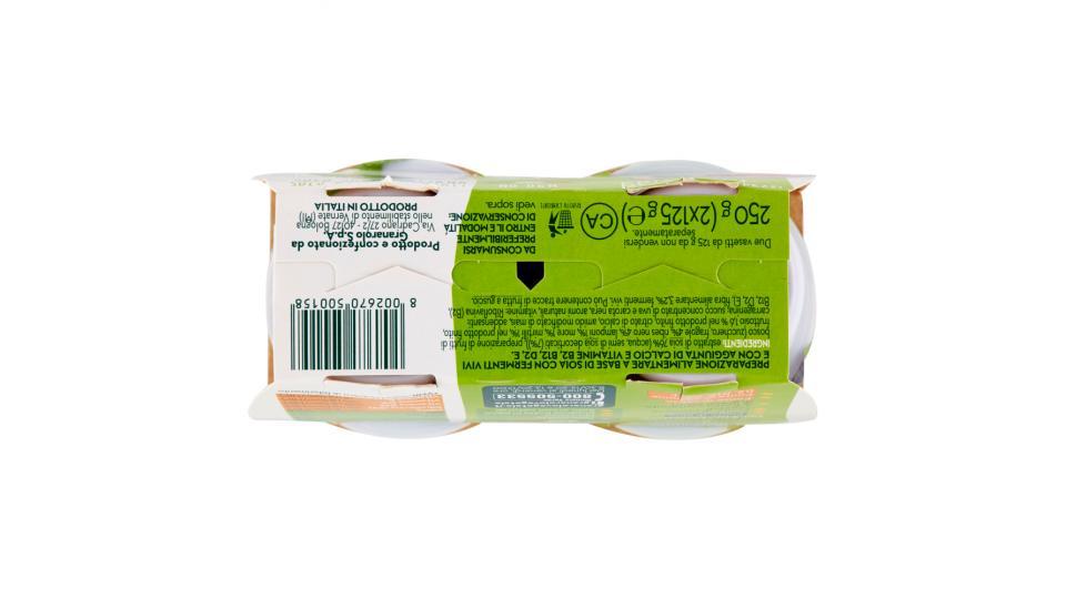 Granarolo 100% Vegetale Soia Frutti di Bosco in Pezzi