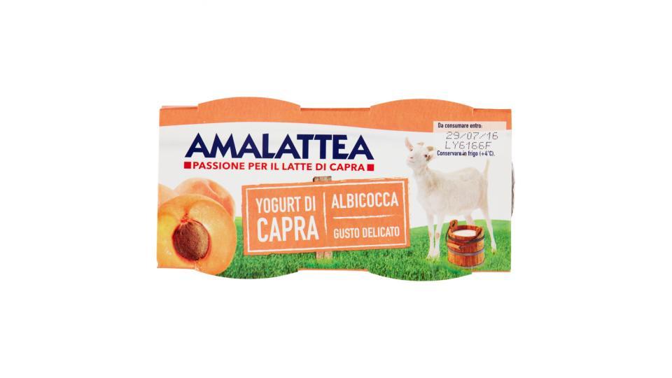 Amalattea Yogurt di Capra Albicocca