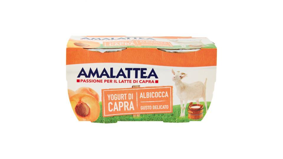 Amalattea Yogurt di Capra Albicocca