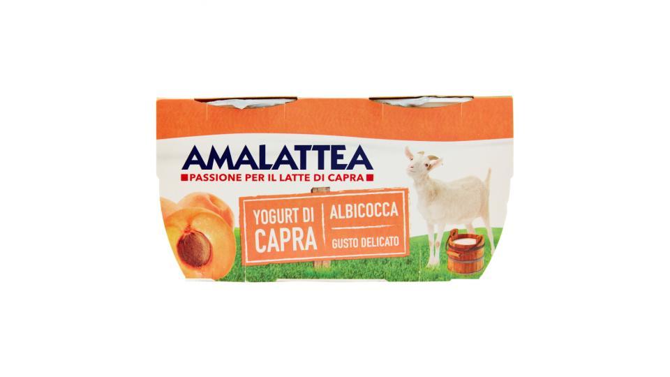 Amalattea Yogurt di Capra Albicocca