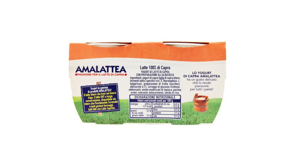 Amalattea Yogurt di Capra Albicocca