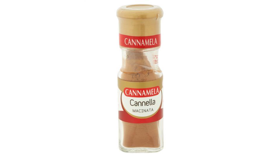 Aroma cannella macinata