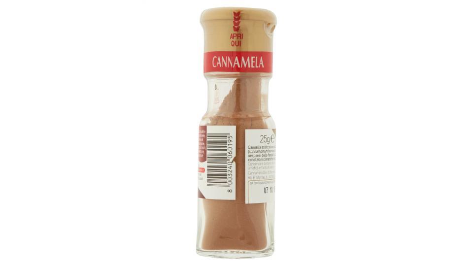 Aroma cannella macinata