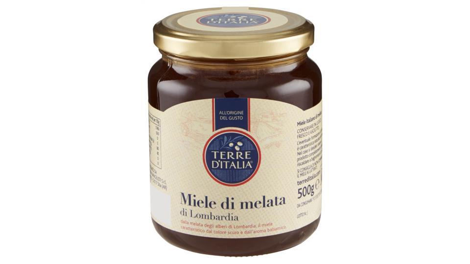 Terre d'Italia Miele di melata di Lombardia