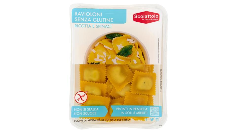 Scoiattolo Senza Glutine Ravioloni Ricotta e Spinaci