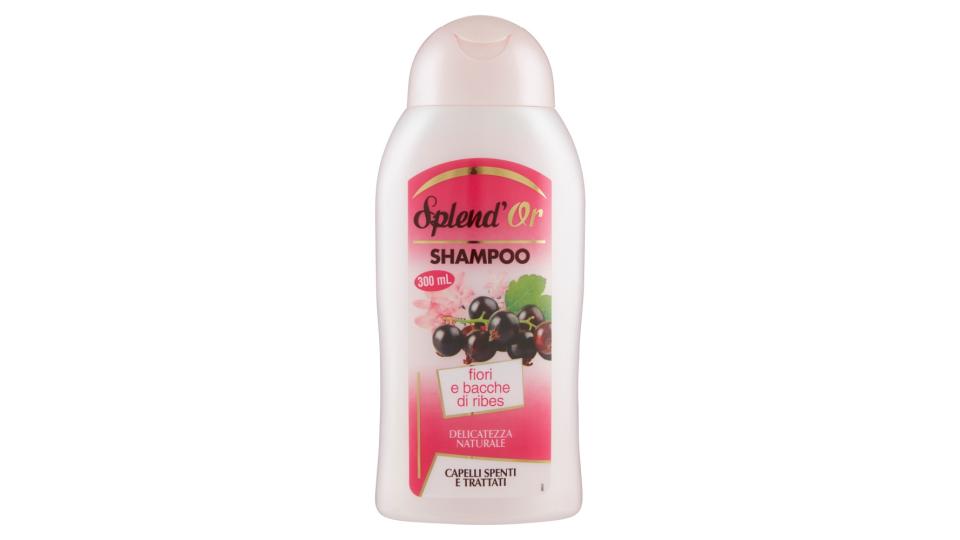 Splend'Or Shampoo fiori e bacche di ribes capelli spenti e trattati