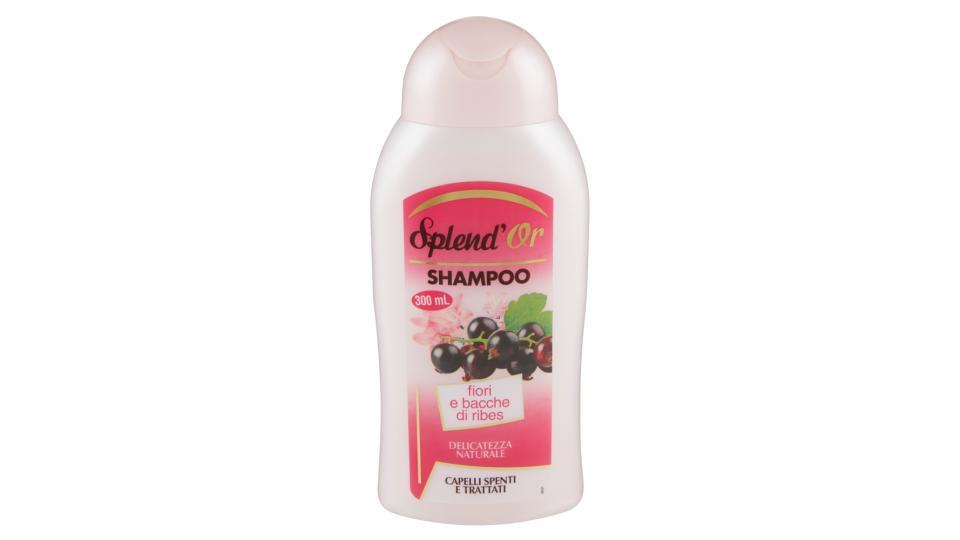 Splend'Or Shampoo fiori e bacche di ribes capelli spenti e trattati