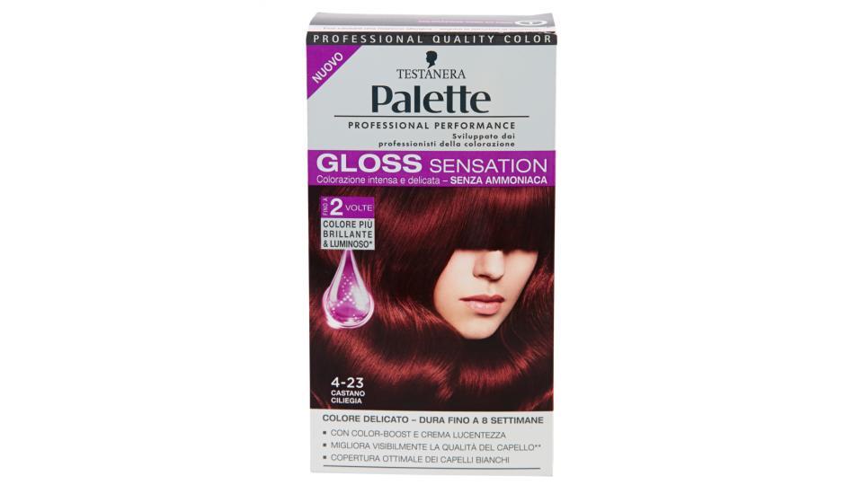 Palette Gloss Sensation