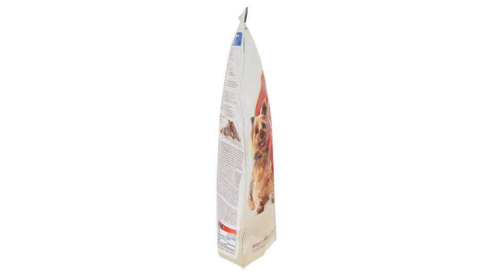 PURINA ONE MINI<10kg Cane Crocchette Adult Ricco in Manzo con Riso Sacco