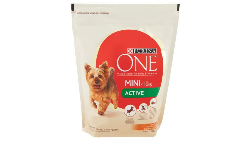 PURINA ONE MINI<10kg Cane Crocchette Active Ricco in Pollo con Riso Sacco