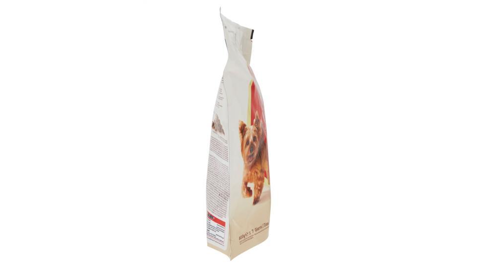 PURINA ONE MINI<10kg Cane Crocchette Active Ricco in Pollo con Riso Sacco