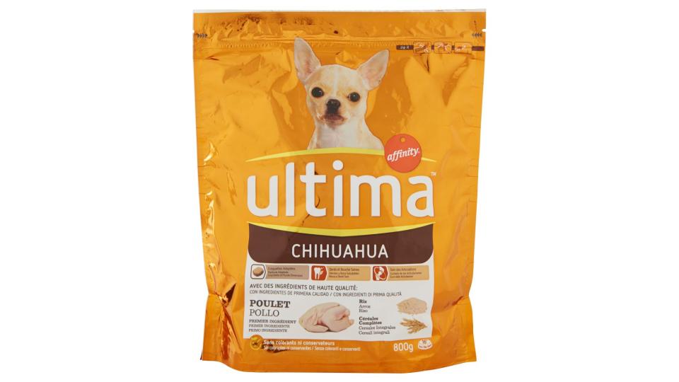 Ultima Dog Chihuahua