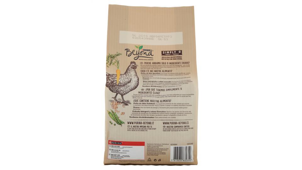 PURINA BEYOND Cane Crocchette SIMPLY 9 ricco in Pollo con Orzo integrale Sacco
