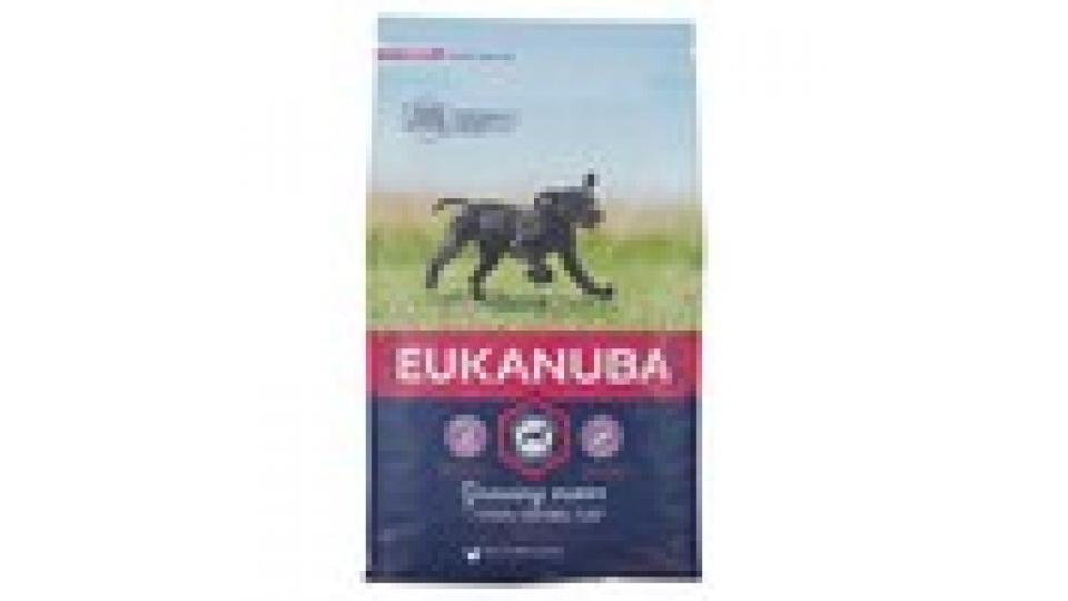 Eukanuba Cucciolo 1-24 Mesi Taglia Grande