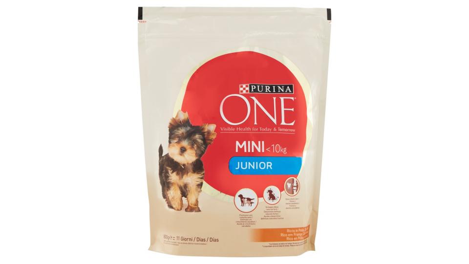 PURINA ONE MINI<10kg Cane Crocchette Junior Ricco in Pollo con Riso Sacco