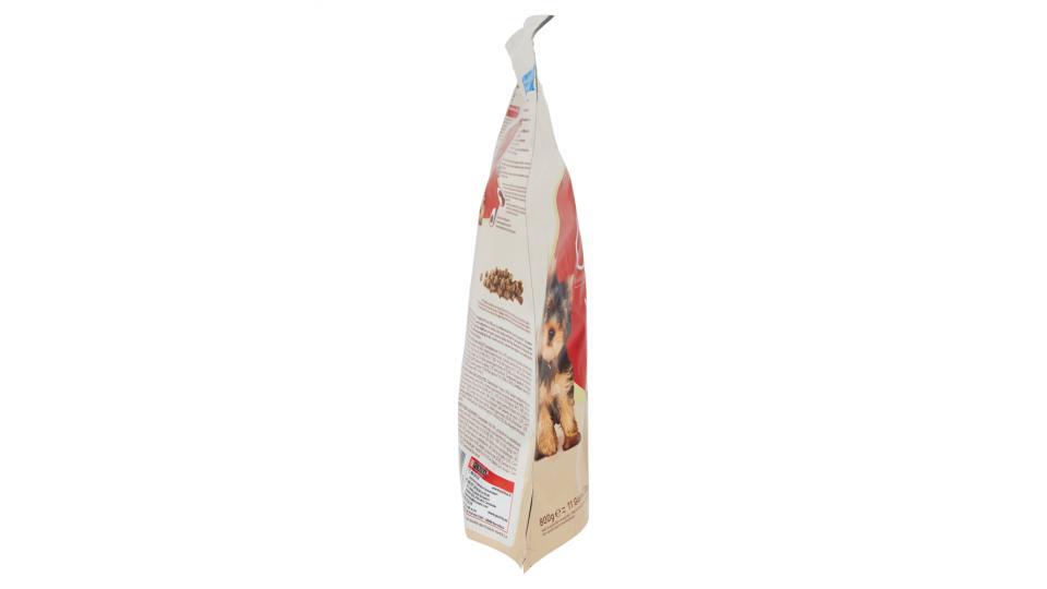 PURINA ONE MINI<10kg Cane Crocchette Junior Ricco in Pollo con Riso Sacco