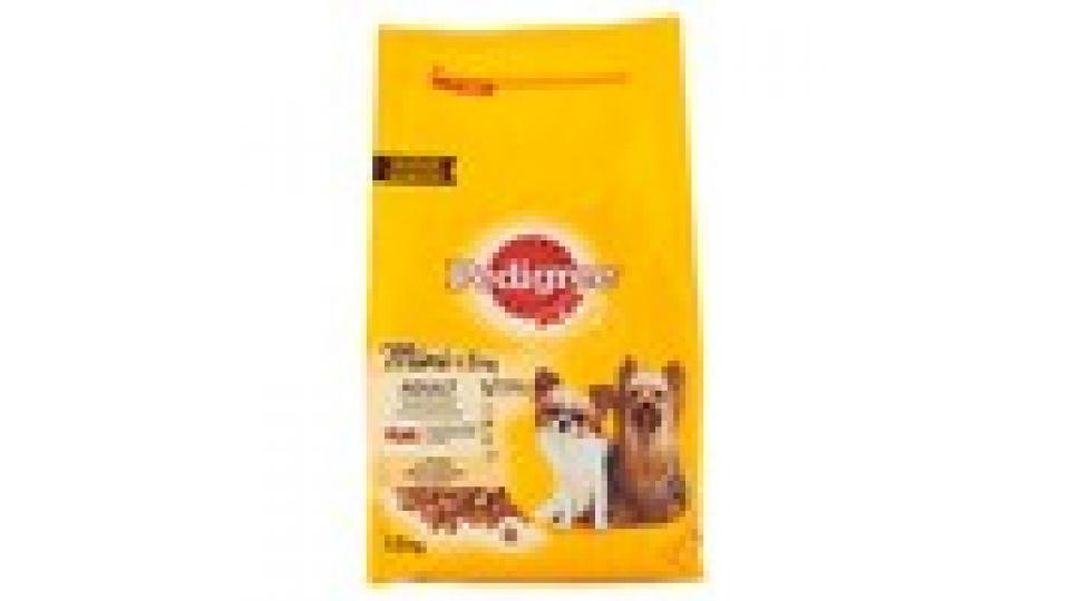 Pedigree Vital Protection Mini <5kg Adult con pollo