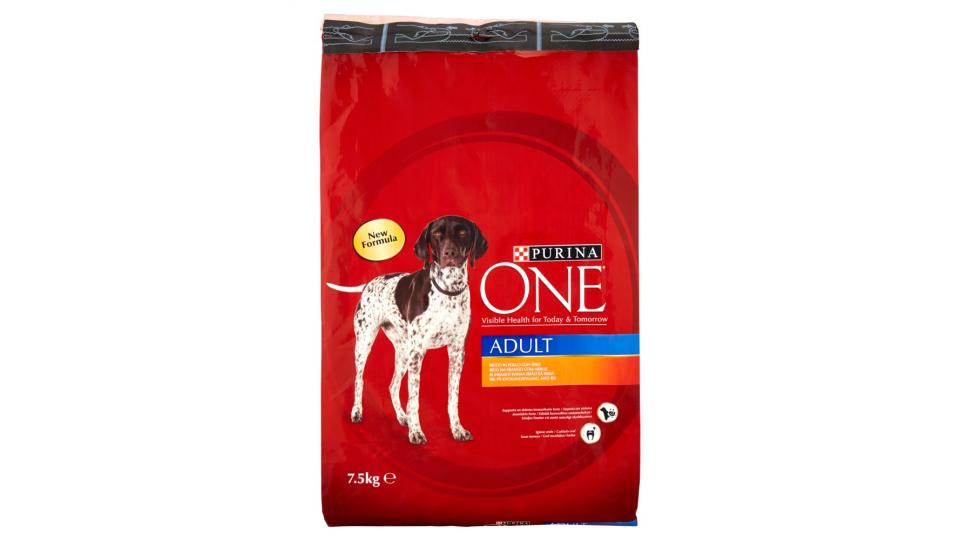 PURINA ONE Cane Crocchette Adult Ricco in Pollo con Riso sacco