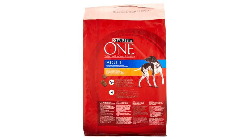 PURINA ONE Cane Crocchette Adult Ricco in Pollo con Riso sacco