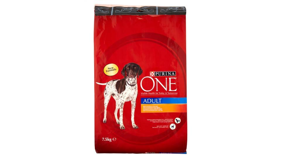 PURINA ONE Cane Crocchette Adult Ricco in Pollo con Riso sacco