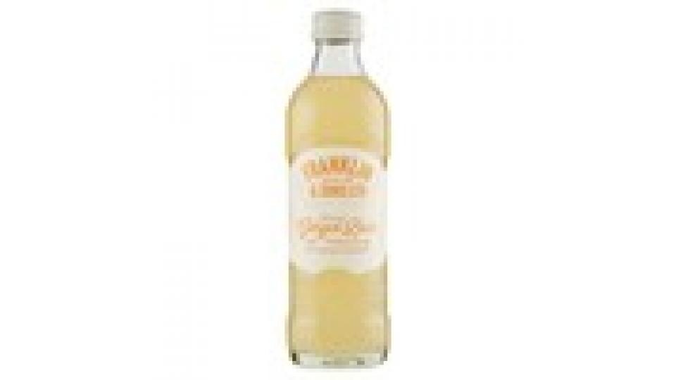 Franklin & Sons Ltd Brewed Ginger Beer with Malted Barley & a squeeze of Lemon