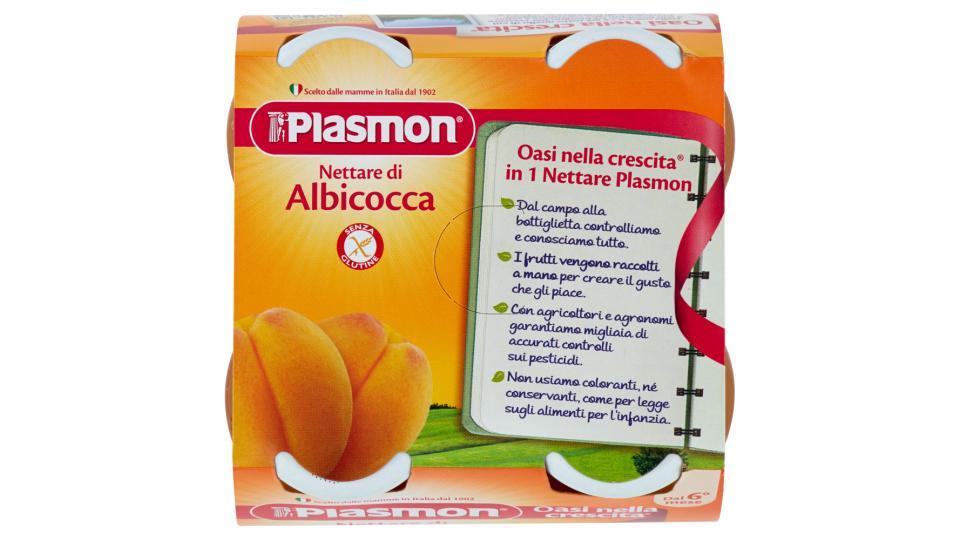 Plasmon Nettare di Albicocca