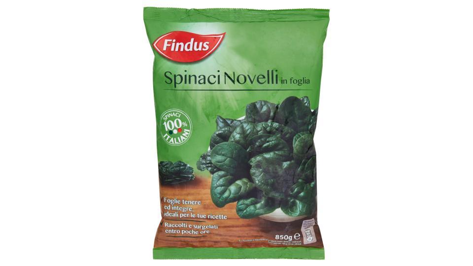 Findus Spinaci Novelli in foglia