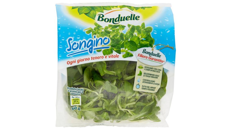 Bonduelle Songino