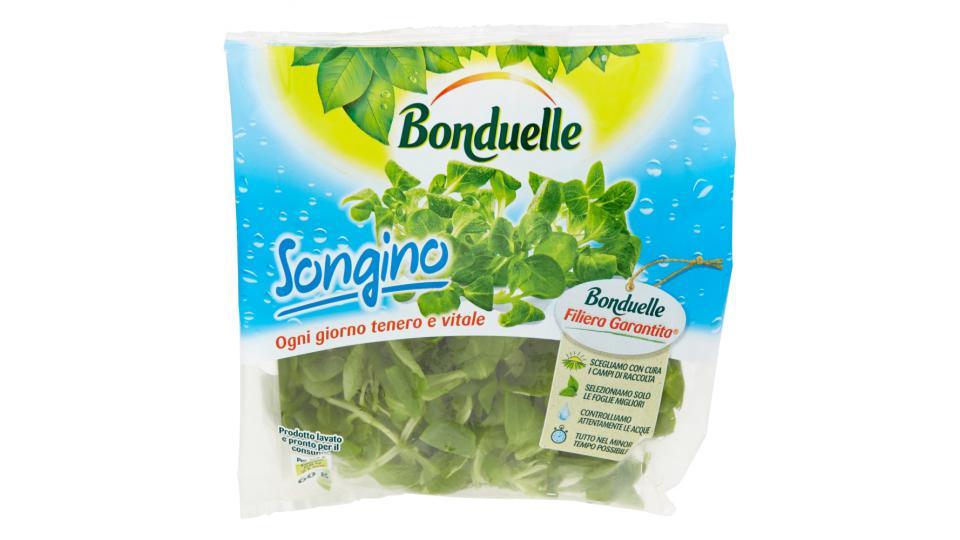 Bonduelle Songino