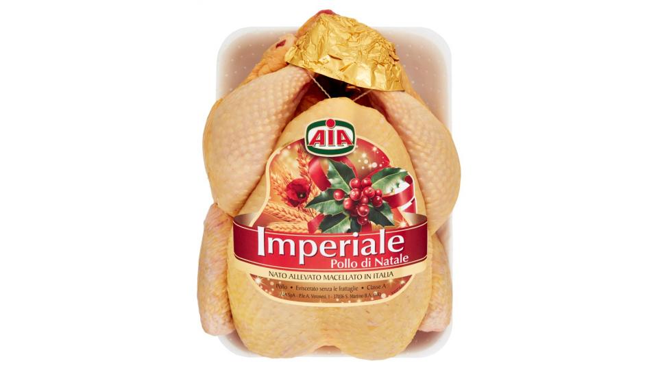 Aia Imperiale Pollo di Natale