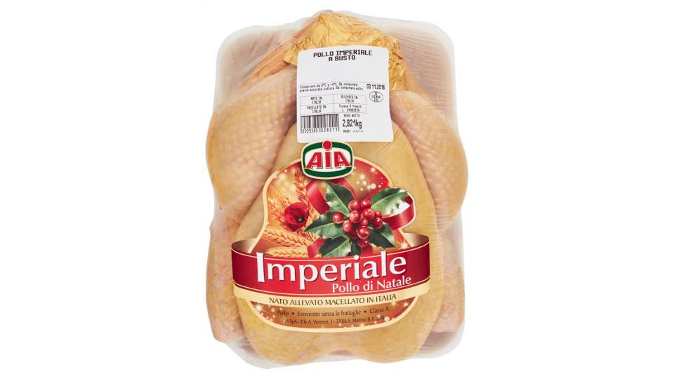 Aia Imperiale Pollo di Natale
