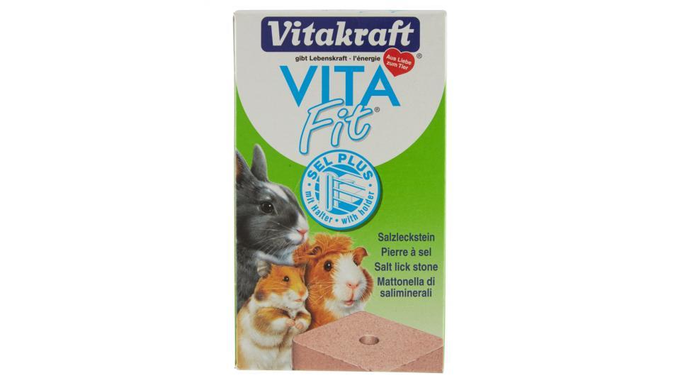 Vitakraft Vita Fit Sel Plus Mattonella di sali minerali per roditori