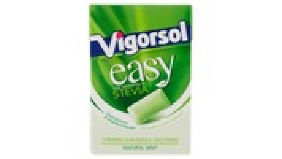 Vigorsol easy