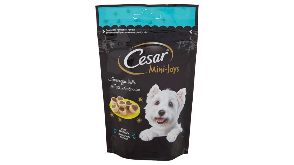 Cesar Mini-Joys con  Formaggio e Pollo