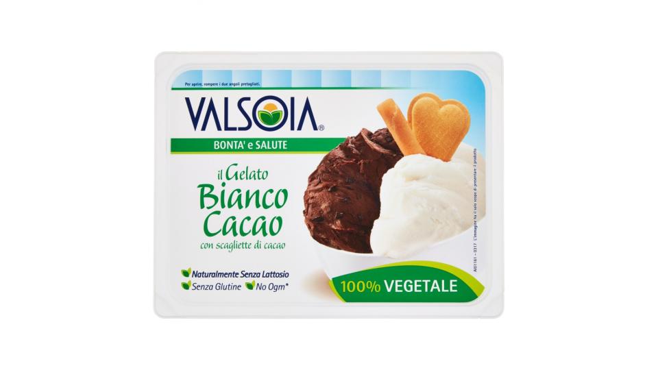 Valsoia Bontà e Salute il Gelato Bianco Cacao con scagliette di cacao