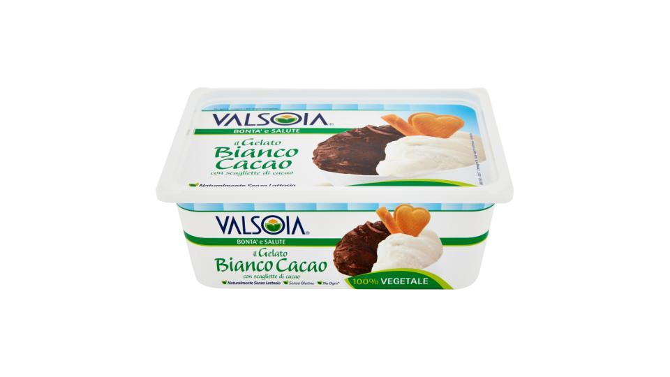 Valsoia Bontà e Salute il Gelato Bianco Cacao con scagliette di cacao