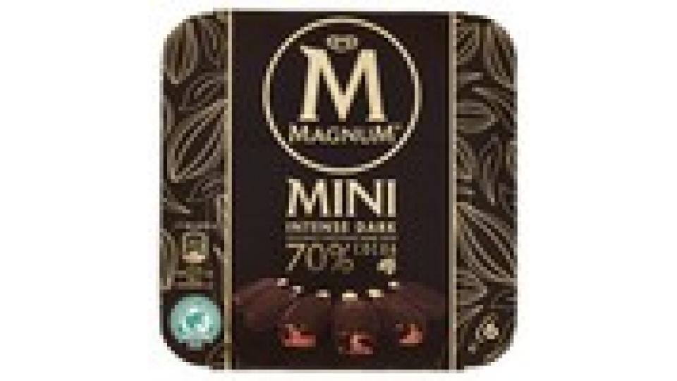Magnum Mini Intense Dark